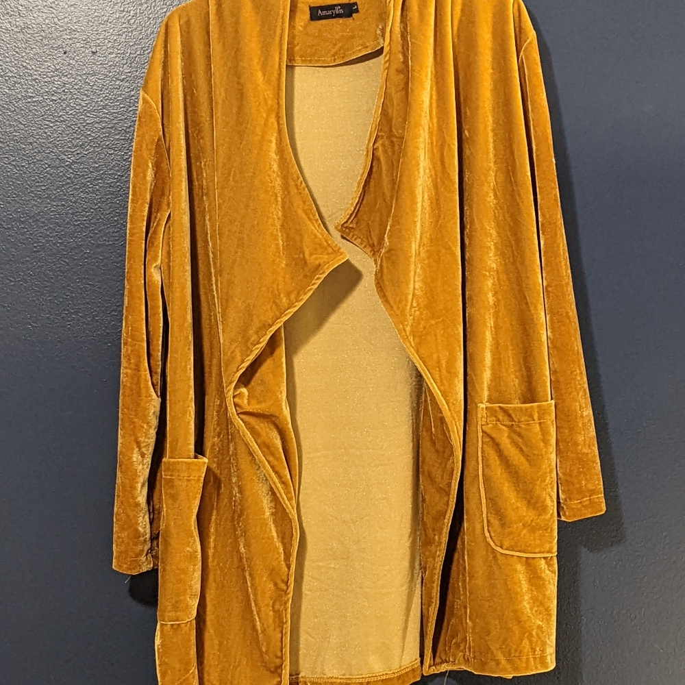 Velvet Gold Blazer brand new
